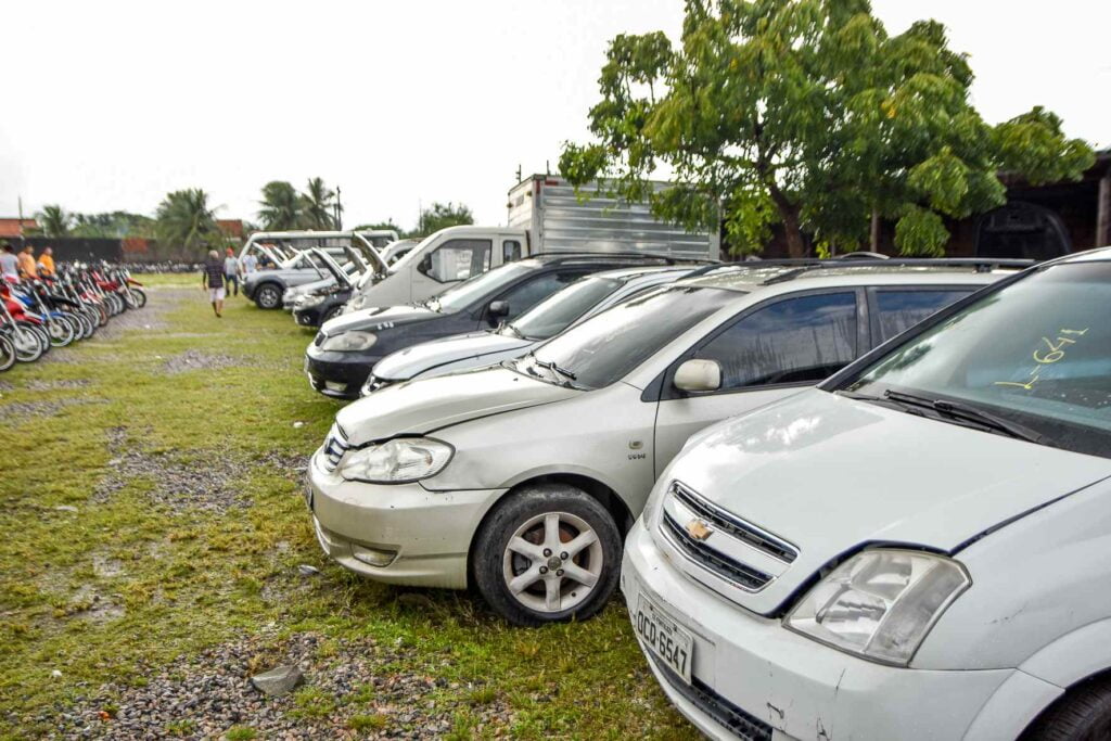 Leilão de Veículos, Lucros Altos
